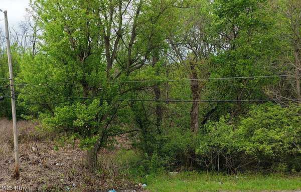 0.16 Acres of Land for Sale in Campbell, Ohio