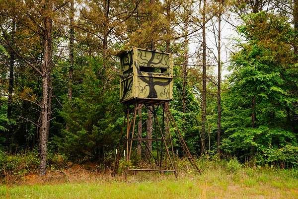 280 Acres of Recreational & Residential Land for Sale in Shuqualak, Mississippi
