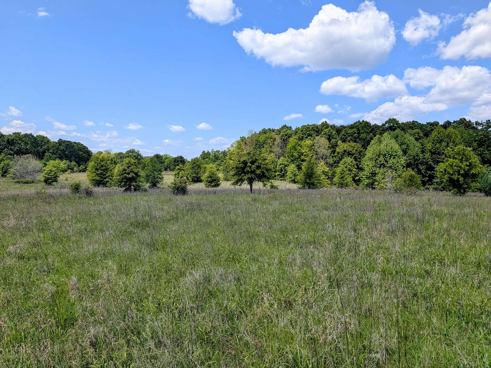 80 Acres of Land for Sale in Koshkonong, Missouri