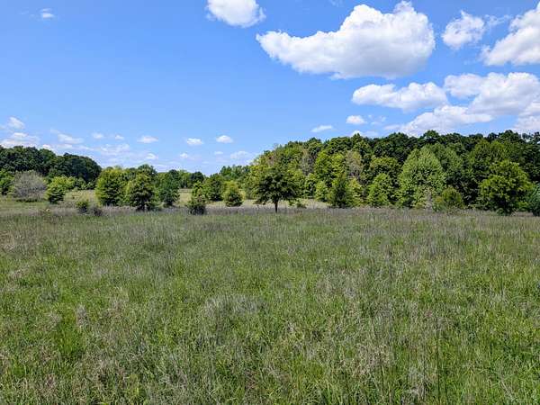 80 Acres of Land for Sale in Koshkonong, Missouri