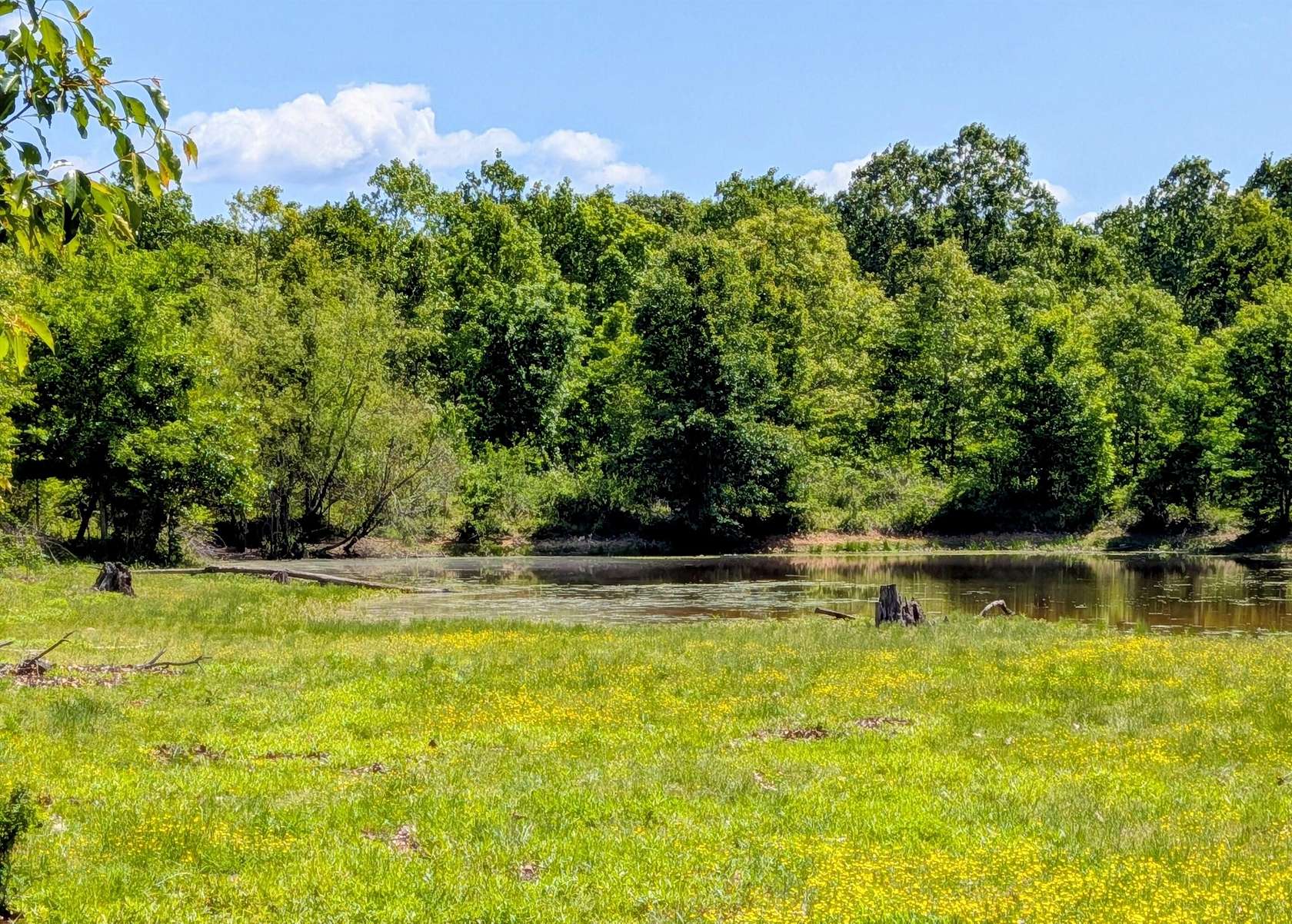 111 Acres of Recreational & Residential Land for Sale in Koshkonong, Missouri