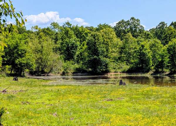 111 Acres of Recreational & Residential Land for Sale in Koshkonong, Missouri