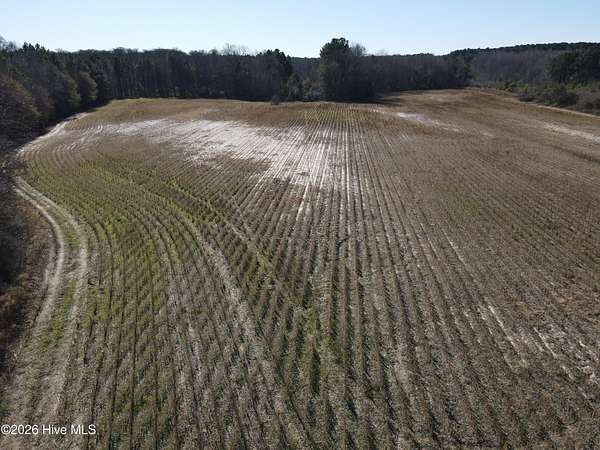131 Acres of Recreational & Residential Land for Sale in Nashville, North Carolina