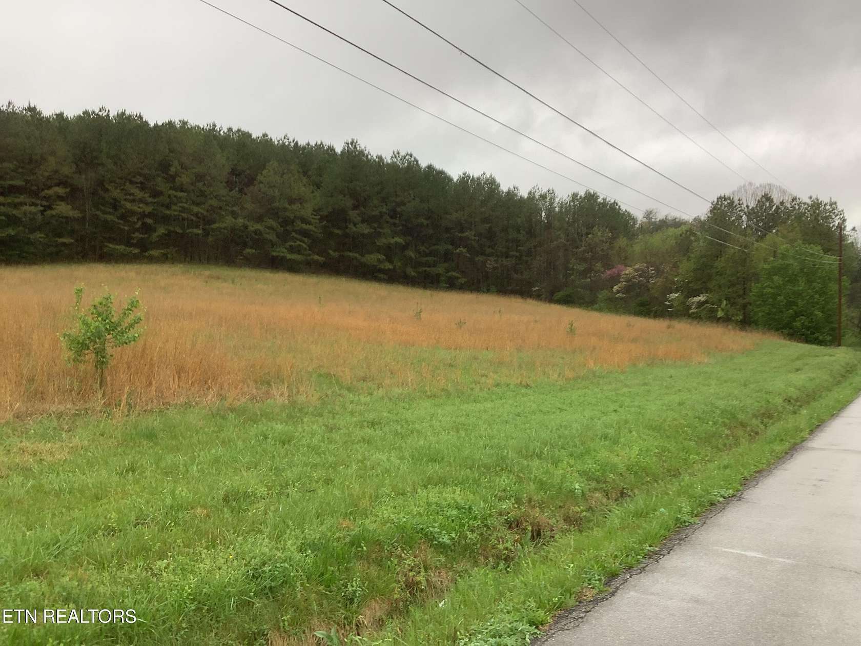 0.75 Acres of Residential Land for Sale in Decatur, Tennessee