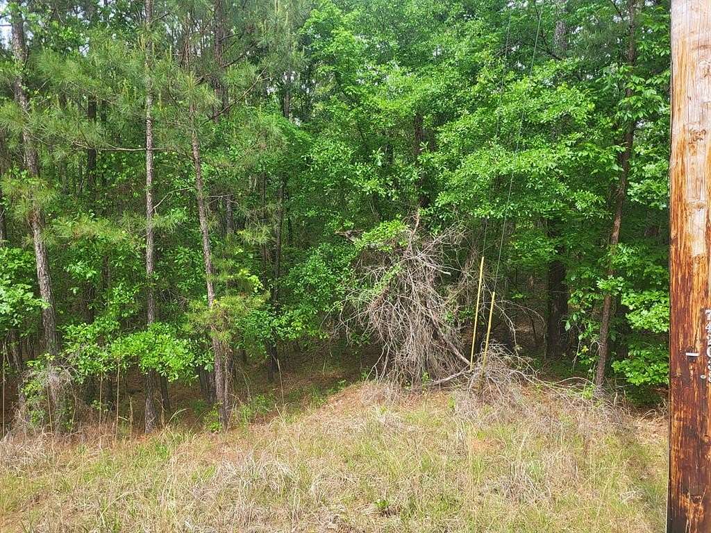 0.52 Acres of Residential Land for Sale in Sparta, Georgia