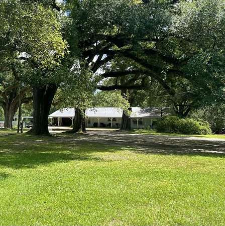 25 Acres of Recreational Land with Home for Sale in Kirbyville, Texas