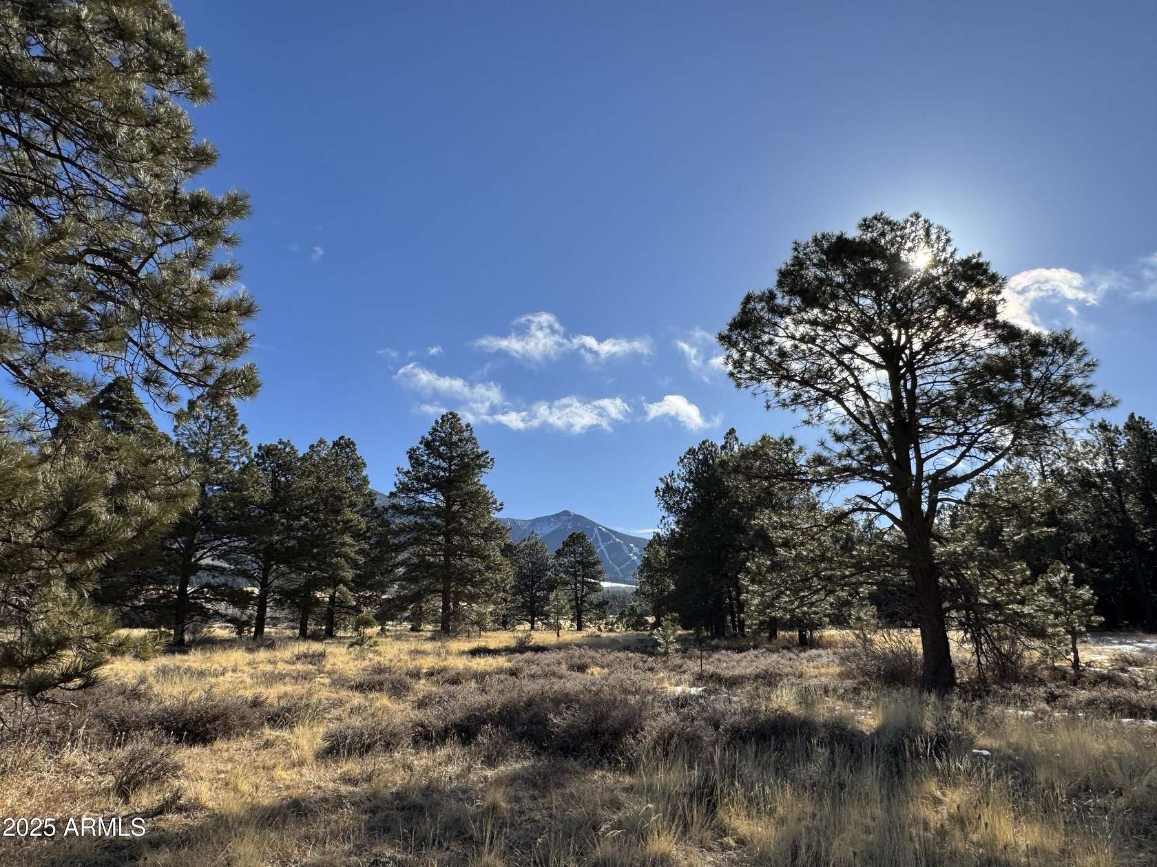 12 Acres of Land for Sale in Flagstaff, Arizona