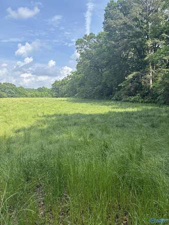8 Acres of Residential Land for Sale in Blountsville, Alabama
