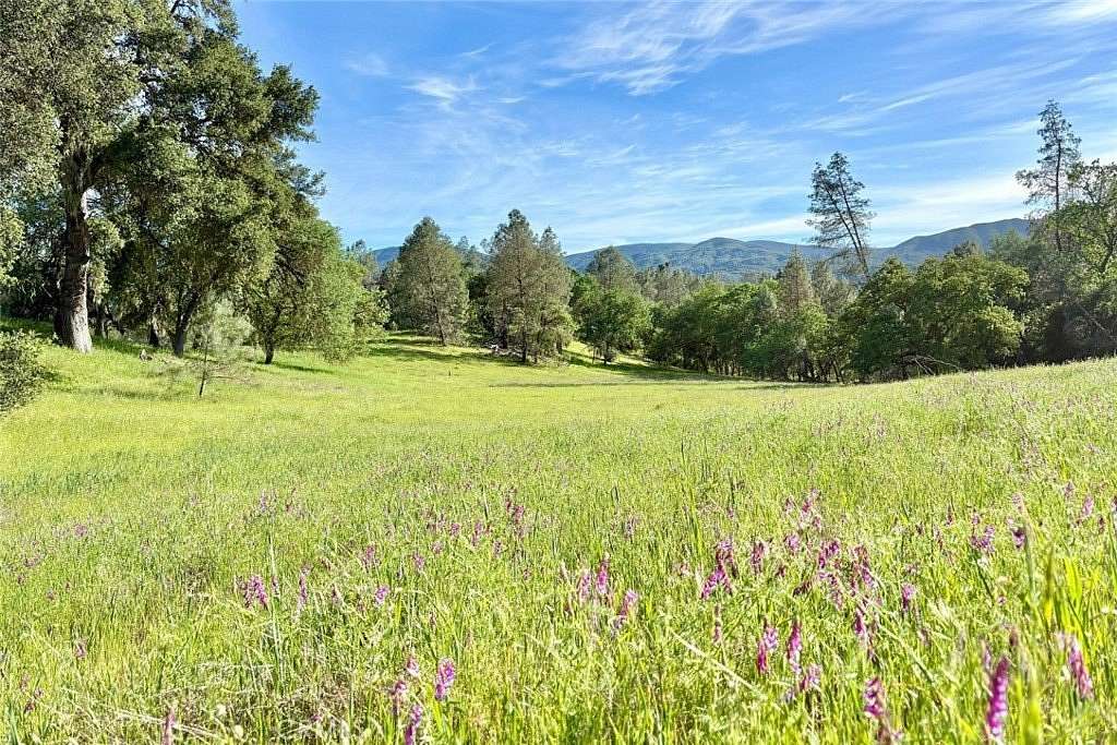 40 Acres of Recreational & Residential Land for Sale in Bradley, California