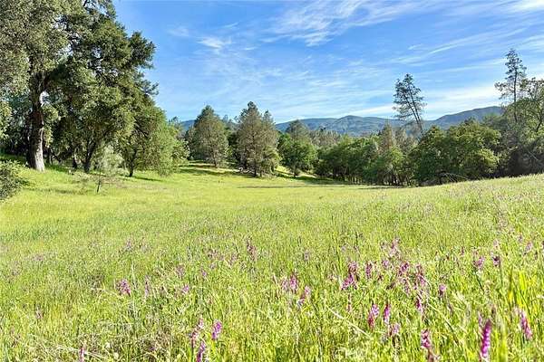 40 Acres of Recreational & Residential Land for Sale in Bradley, California
