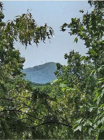 1.52 Acres of Land with Home for Sale in Cleveland, Georgia
