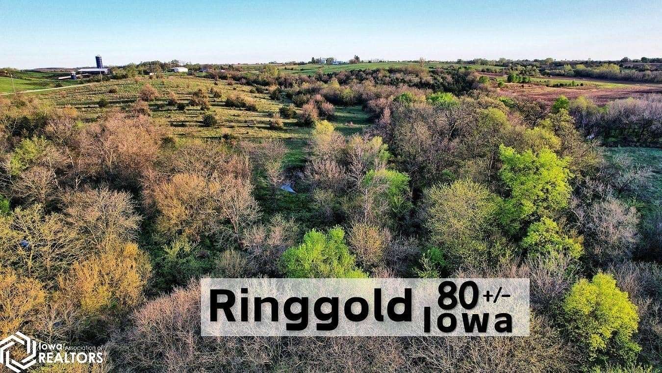 80 Acres of Land for Sale in Mount Ayr, Iowa