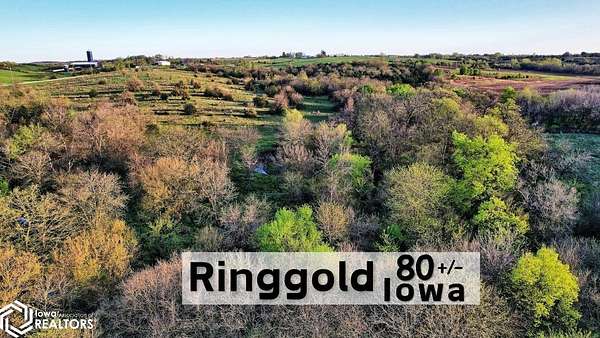 80 Acres of Land for Sale in Mount Ayr, Iowa