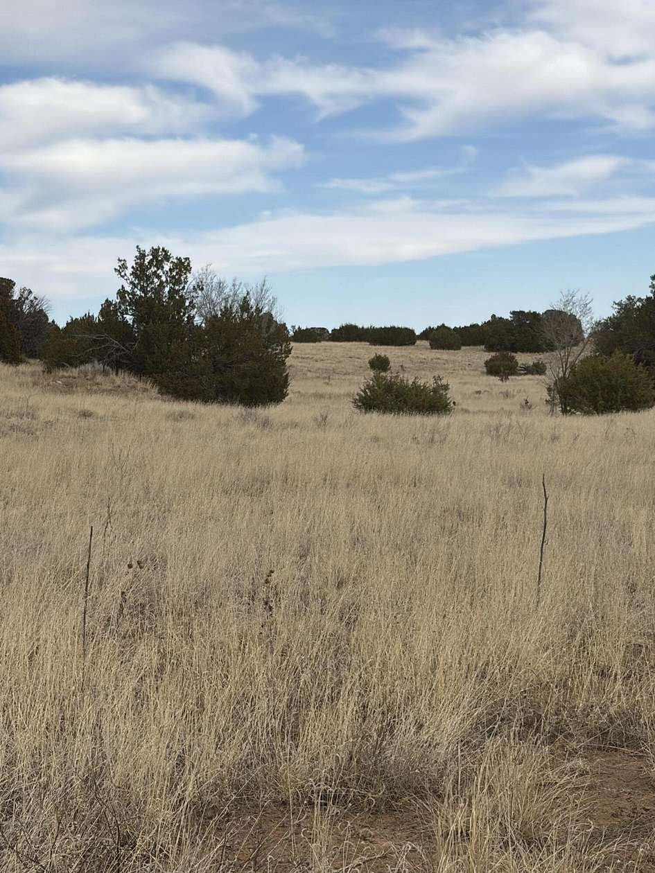16.1 Acres of Land for Sale in Tajique, New Mexico