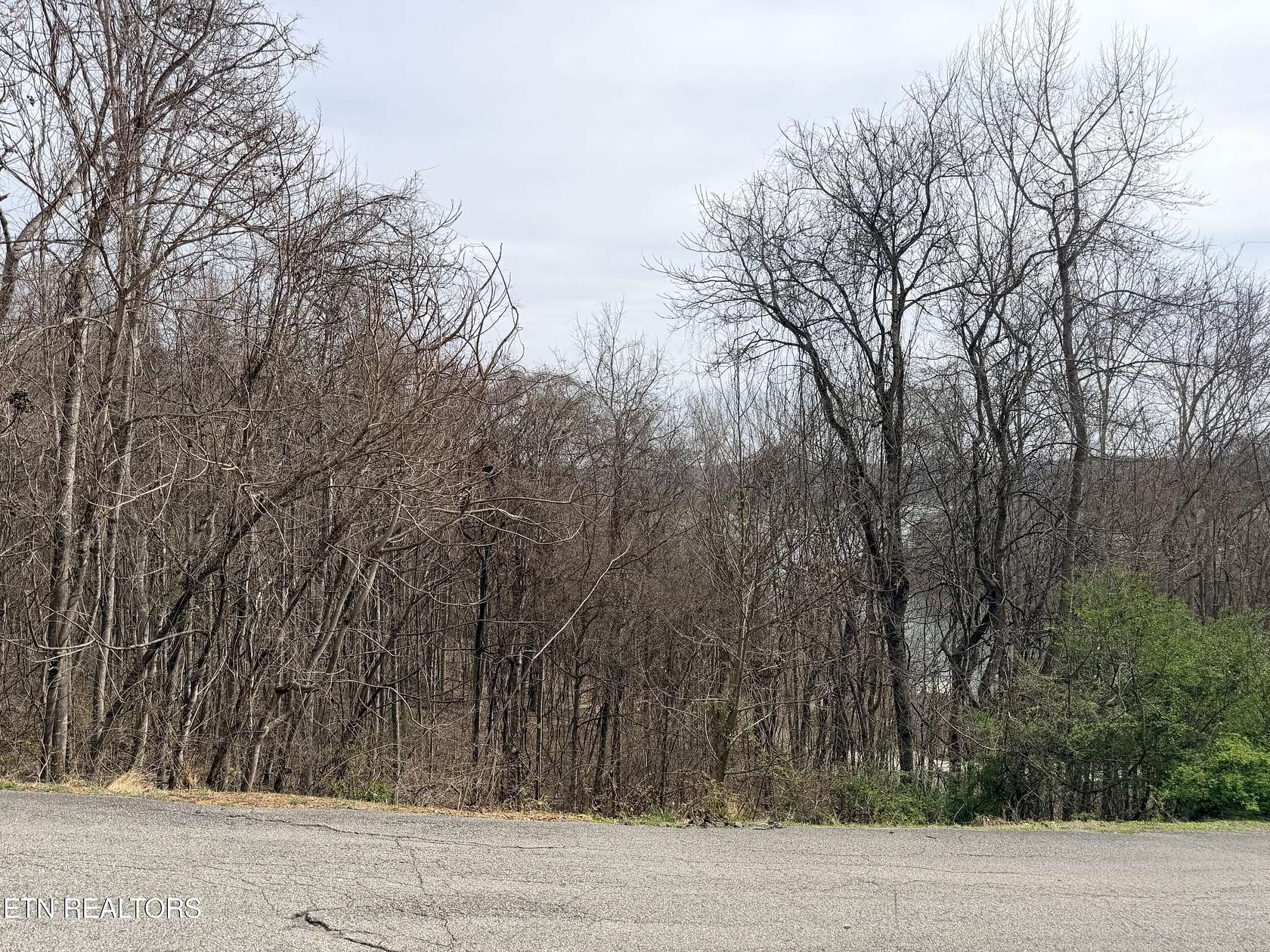 0.76 Acres of Residential Land for Sale in La Follette, Tennessee