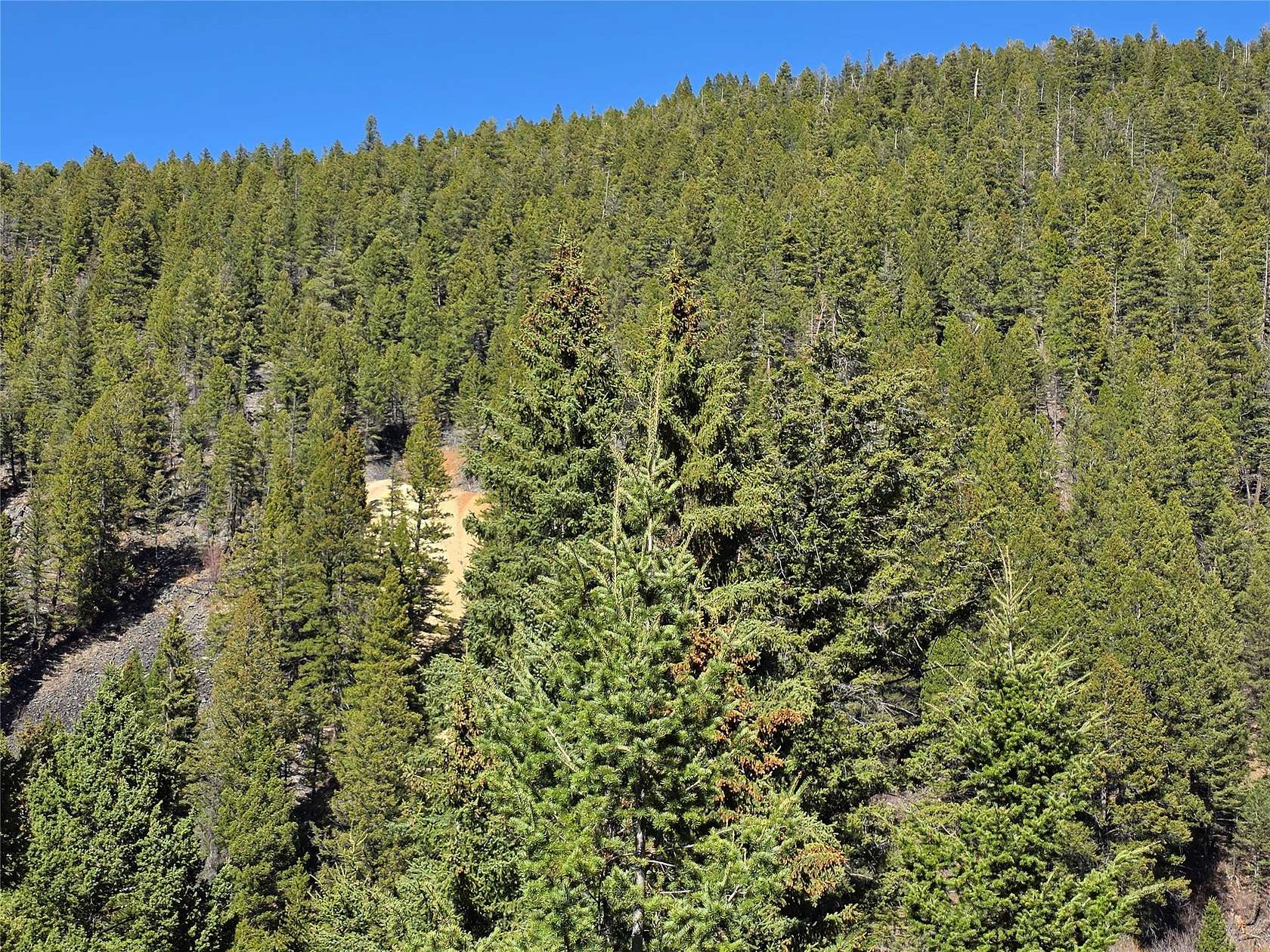 29 Acres of Recreational Land for Sale in Elliston, Montana