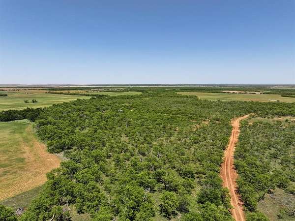 10 Acres of Land for Sale in Merkel, Texas