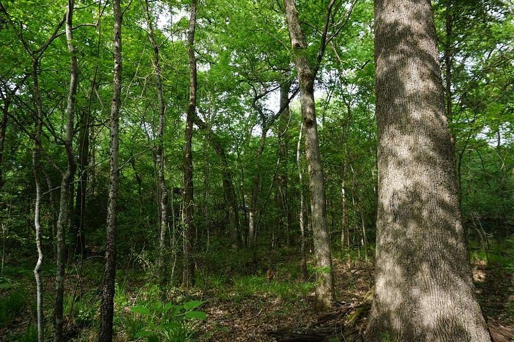 22.5 Acres of Recreational Land for Sale in Malakoff, Texas