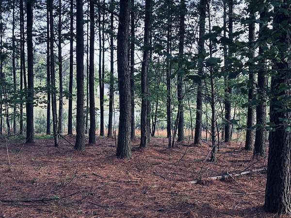 1.33 Acres of Residential Land for Sale in Jasper, Tennessee