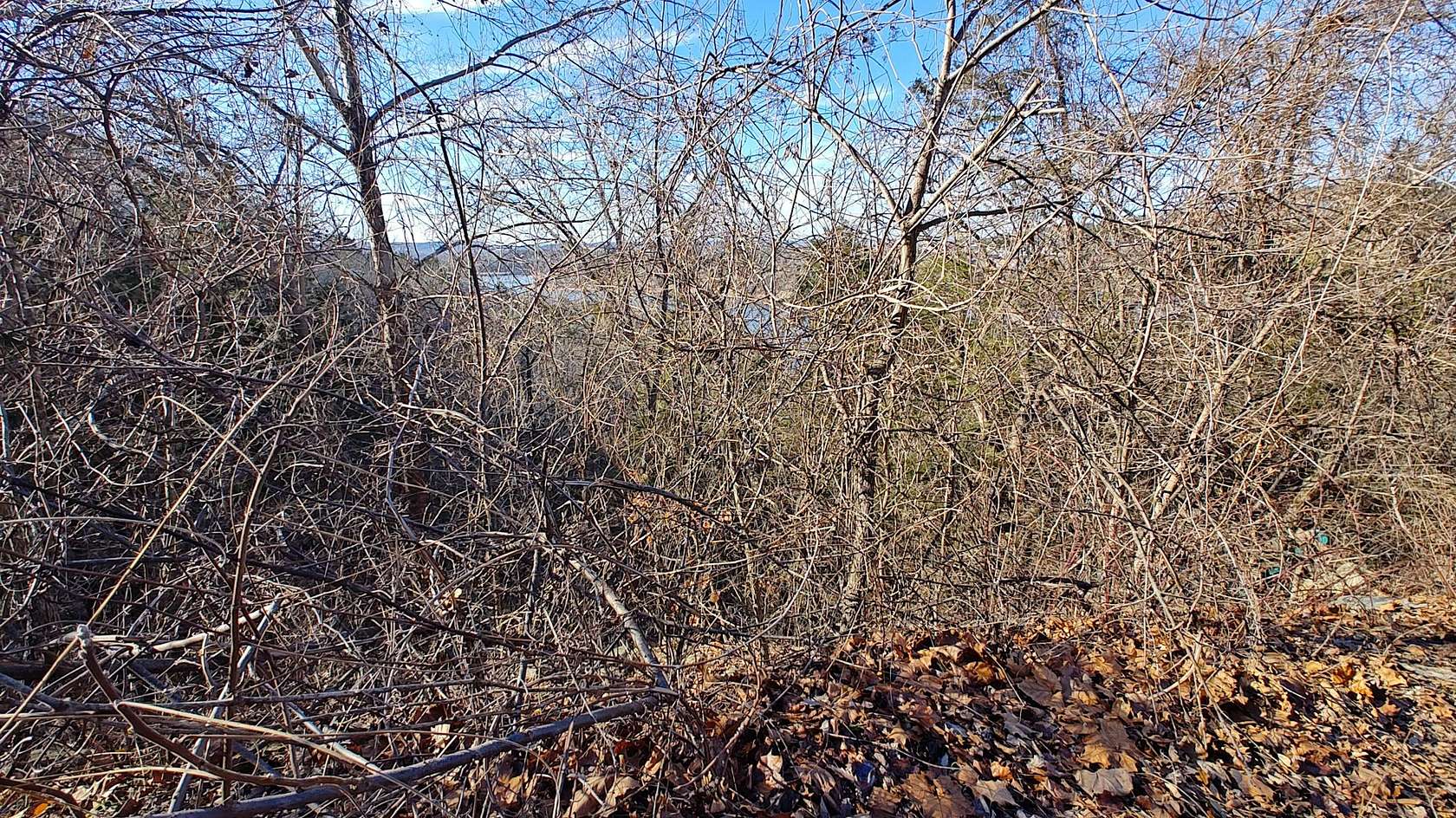 0.72 Acres of Land for Sale in Hollister, Missouri
