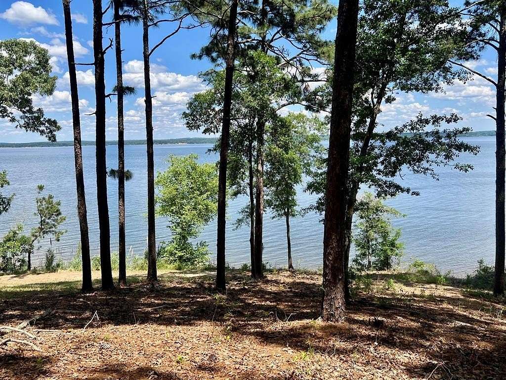 0.55 Acres of Residential Land for Sale in Abbeville, Alabama