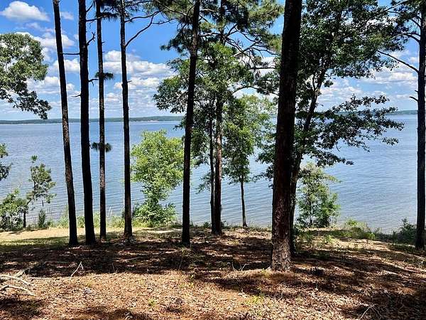 0.55 Acres of Residential Land for Sale in Abbeville, Alabama