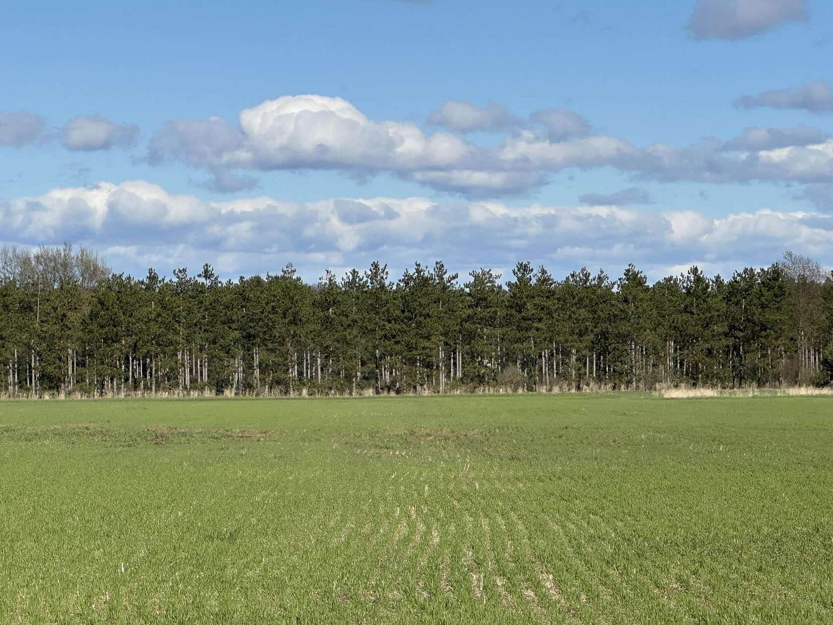 30 Acres of Recreational & Residential Land for Sale in Free Soil, Michigan