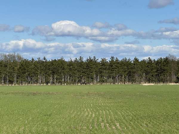 30 Acres of Recreational & Residential Land for Sale in Free Soil, Michigan