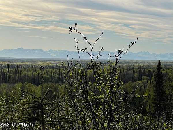 20 Acres of Land for Sale in Kenai, Alaska