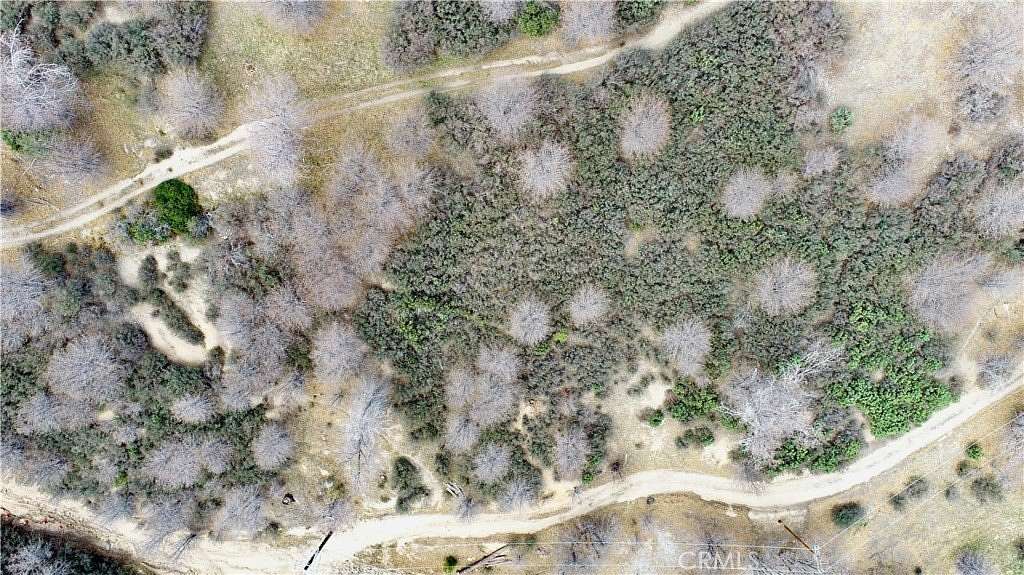 0.06 Acres of Residential Land for Sale in Cedar Glen, California