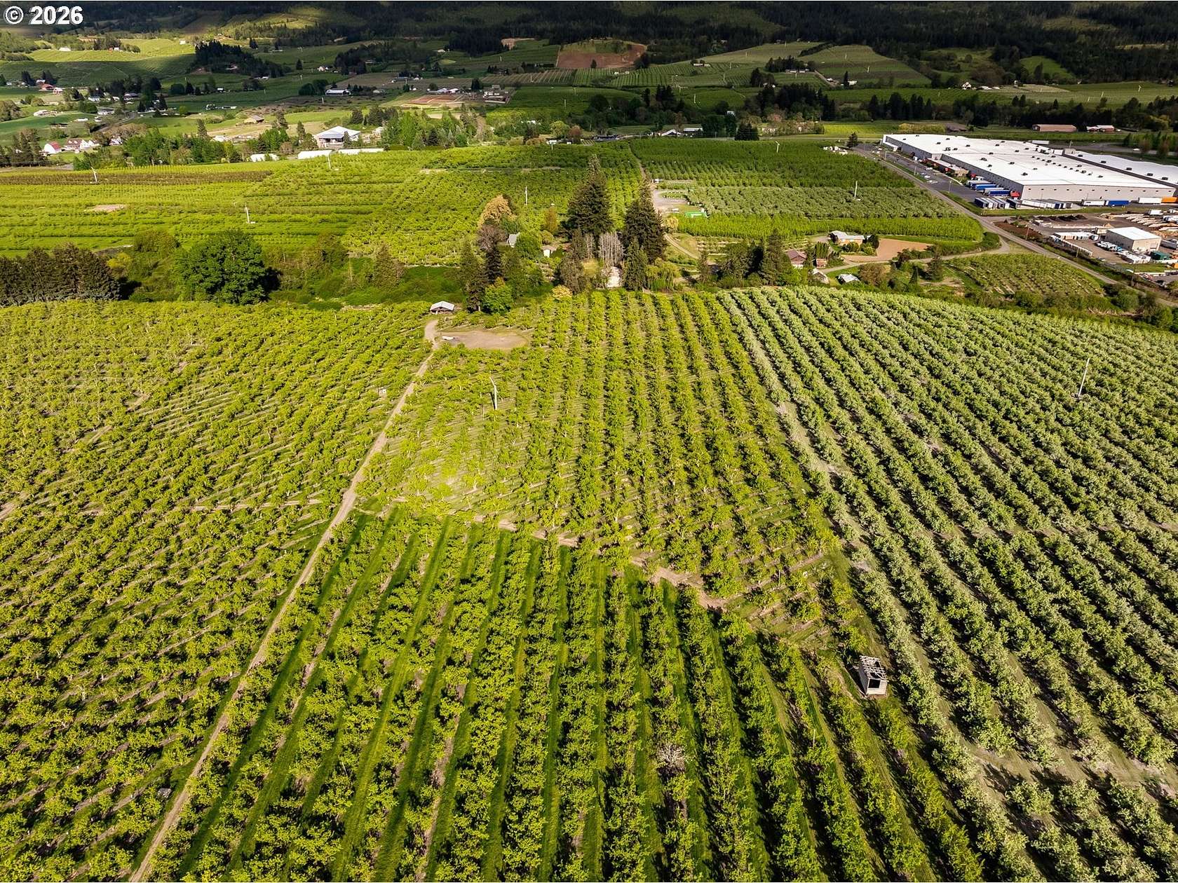 38 Acres of Agricultural Land for Sale in Hood River, Oregon