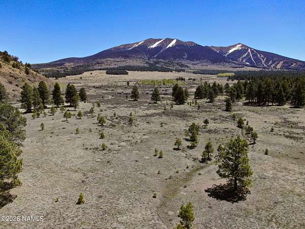 10 Acres of Recreational & Residential Land for Sale in Flagstaff, Arizona