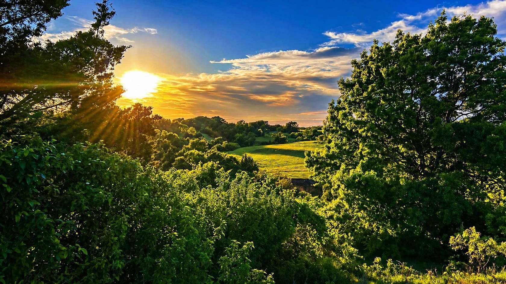 1,185 Acres of Land for Sale in St. Jo, Texas