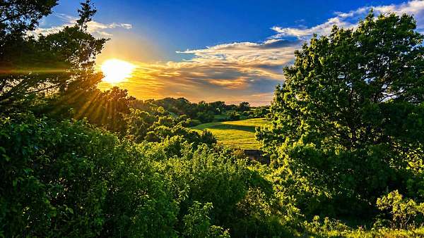 1,185 Acres of Land for Sale in St. Jo, Texas