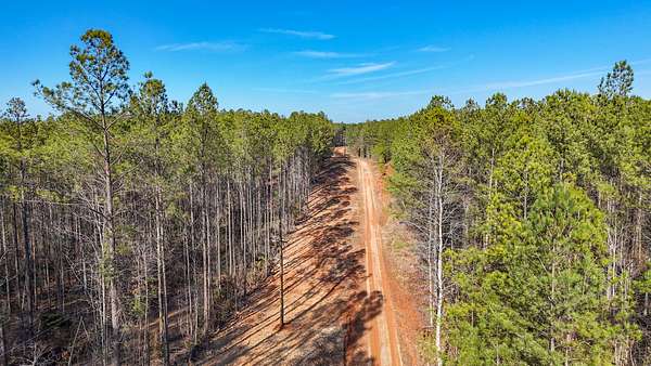 10.3 Acres of Land for Sale in La Fayette, Alabama