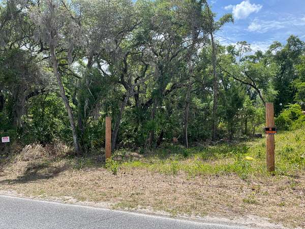 0.5 Acres of Residential Land for Sale in Trenton, Florida
