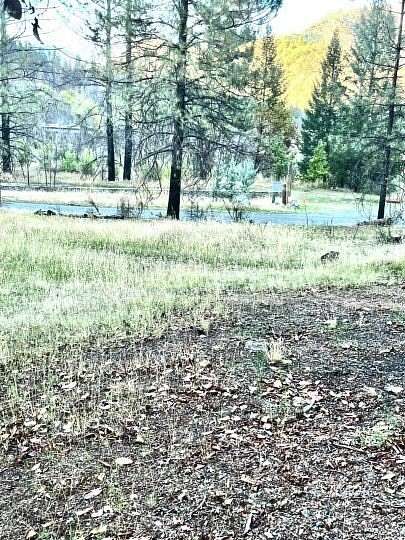 82 Acres of Land for Sale in Junction City, California