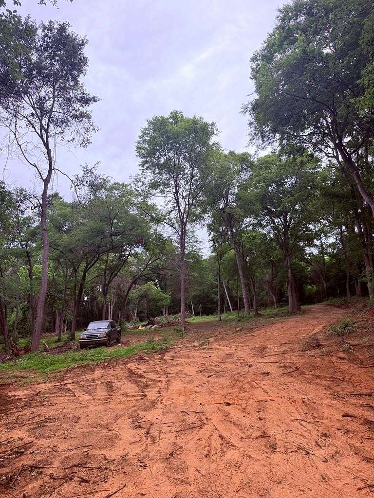0.47 Acres of Residential Land for Sale in Palestine, Texas