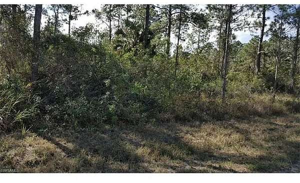 0.23 Acres of Residential Land for Sale in Lehigh Acres, Florida