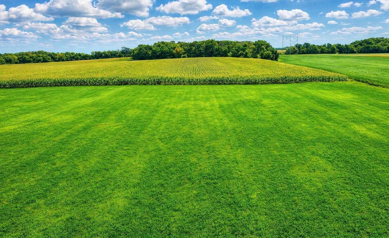 56.2 Acres of Agricultural Land for Sale in Hastings, Minnesota