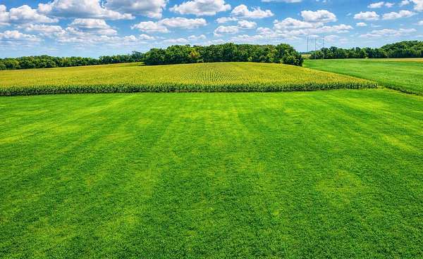 56.2 Acres of Agricultural Land for Sale in Hastings, Minnesota
