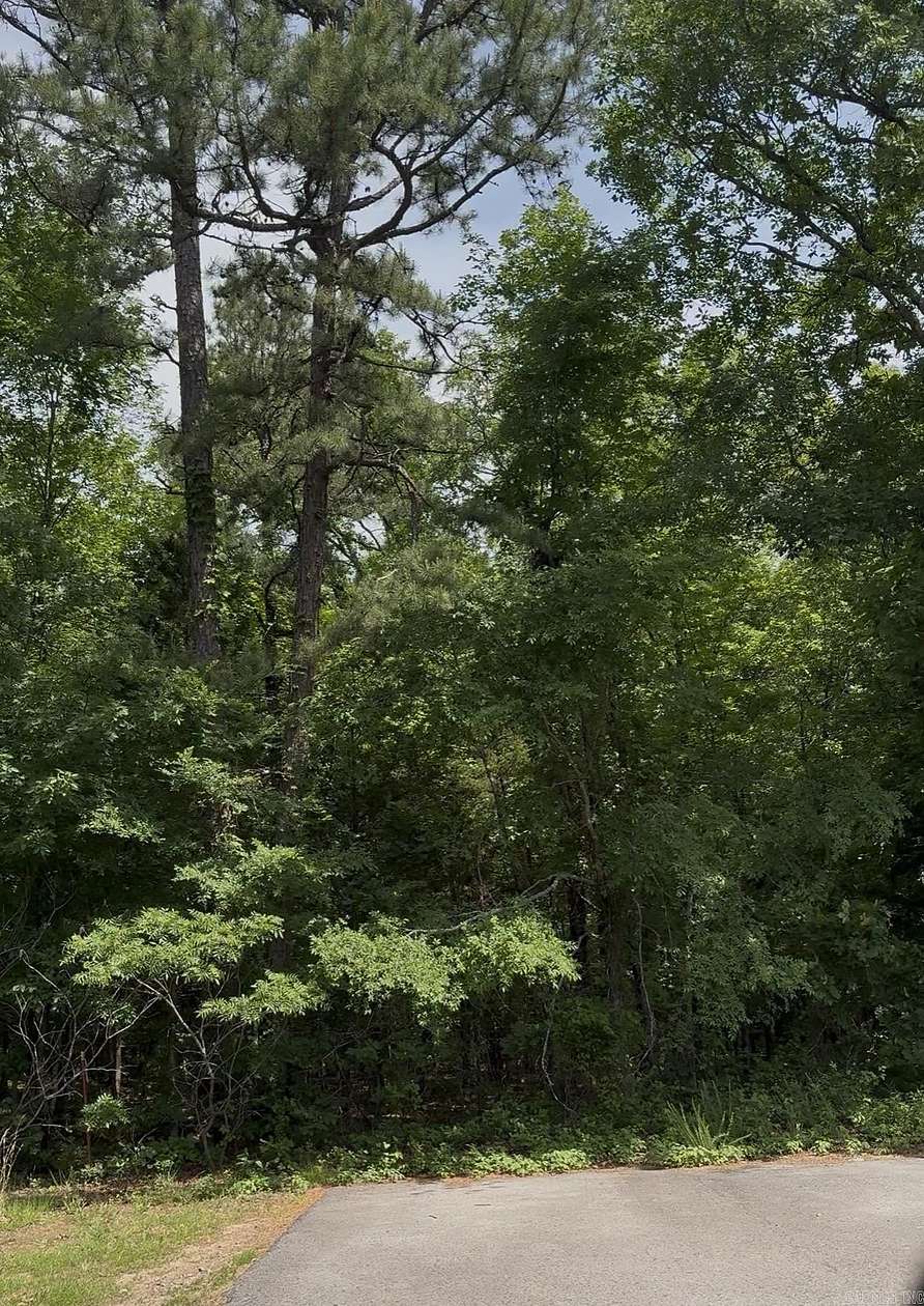 20 Acres of Recreational & Residential Land for Sale in Conway, Arkansas