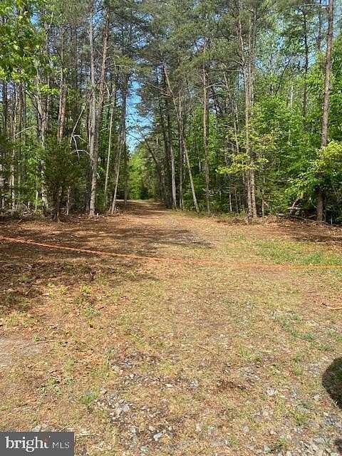 58.5 Acres of Recreational & Residential Land for Sale in Ruther Glen, Virginia