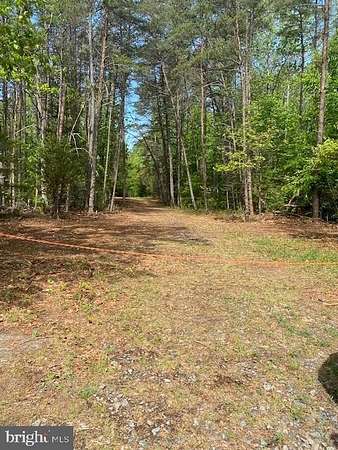 58.5 Acres of Recreational & Residential Land for Sale in Ruther Glen, Virginia