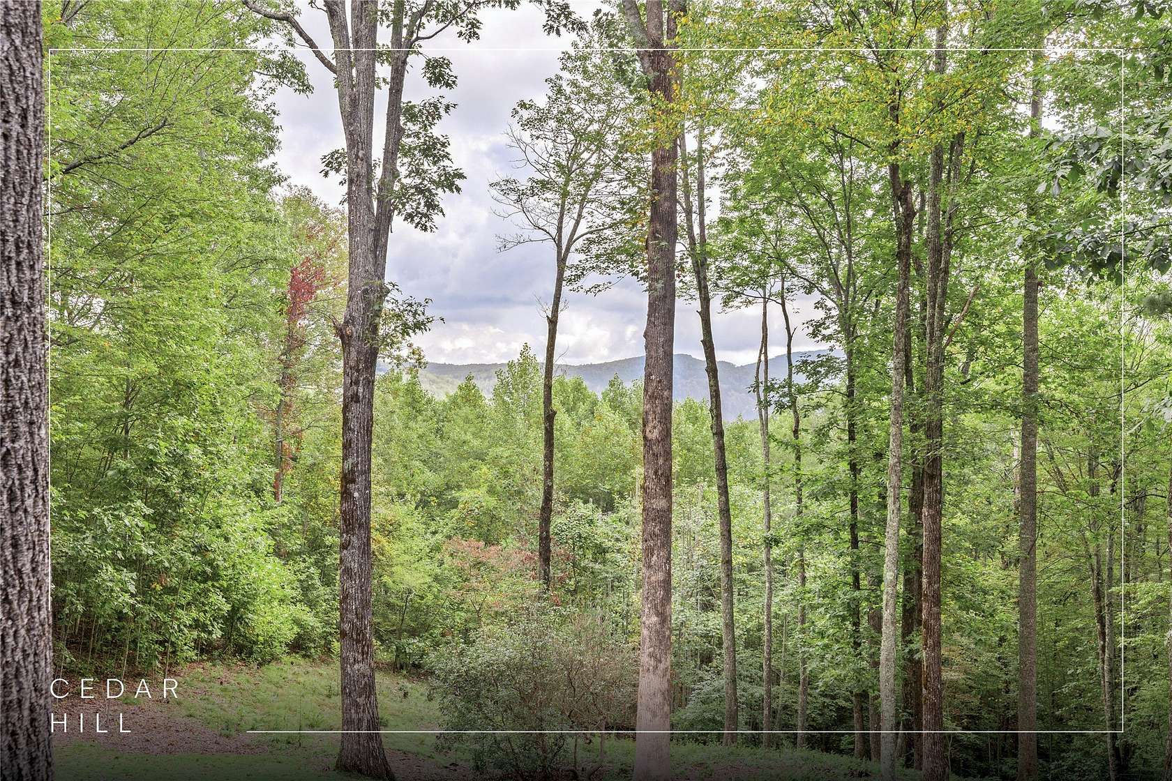 1.89 Acres of Land with Home for Sale in Cashiers, North Carolina