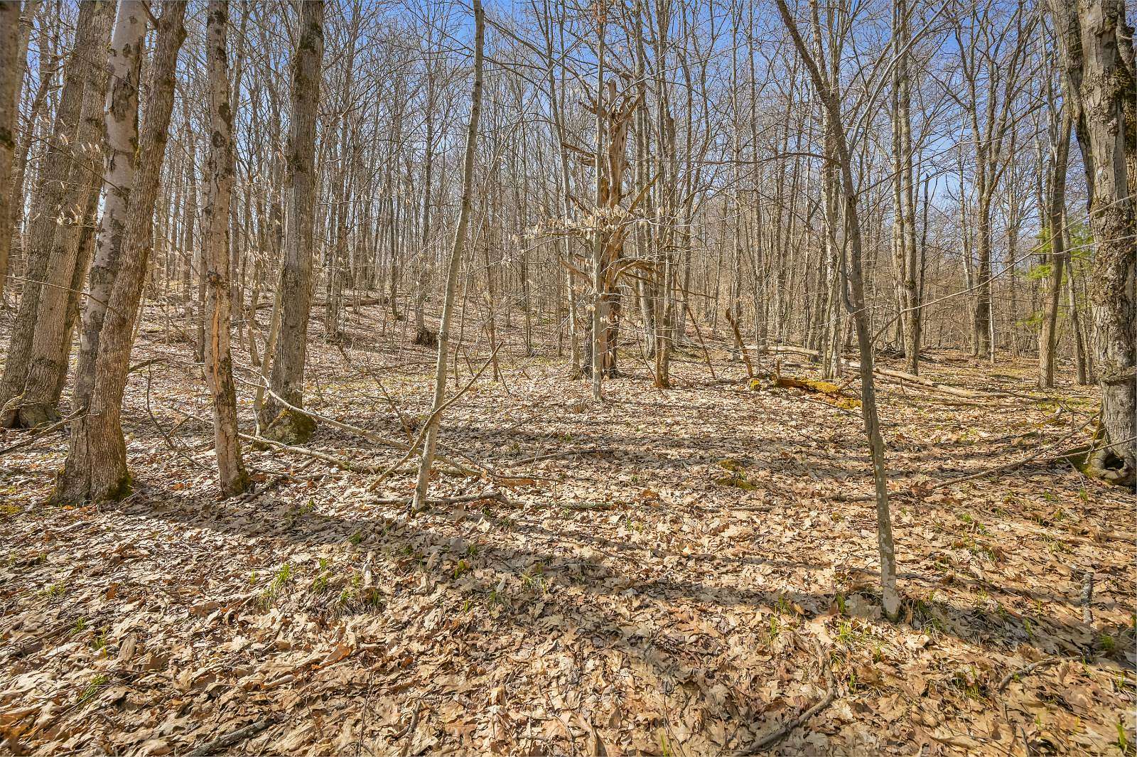 5.86 Acres of Land for Sale in Summit, New York