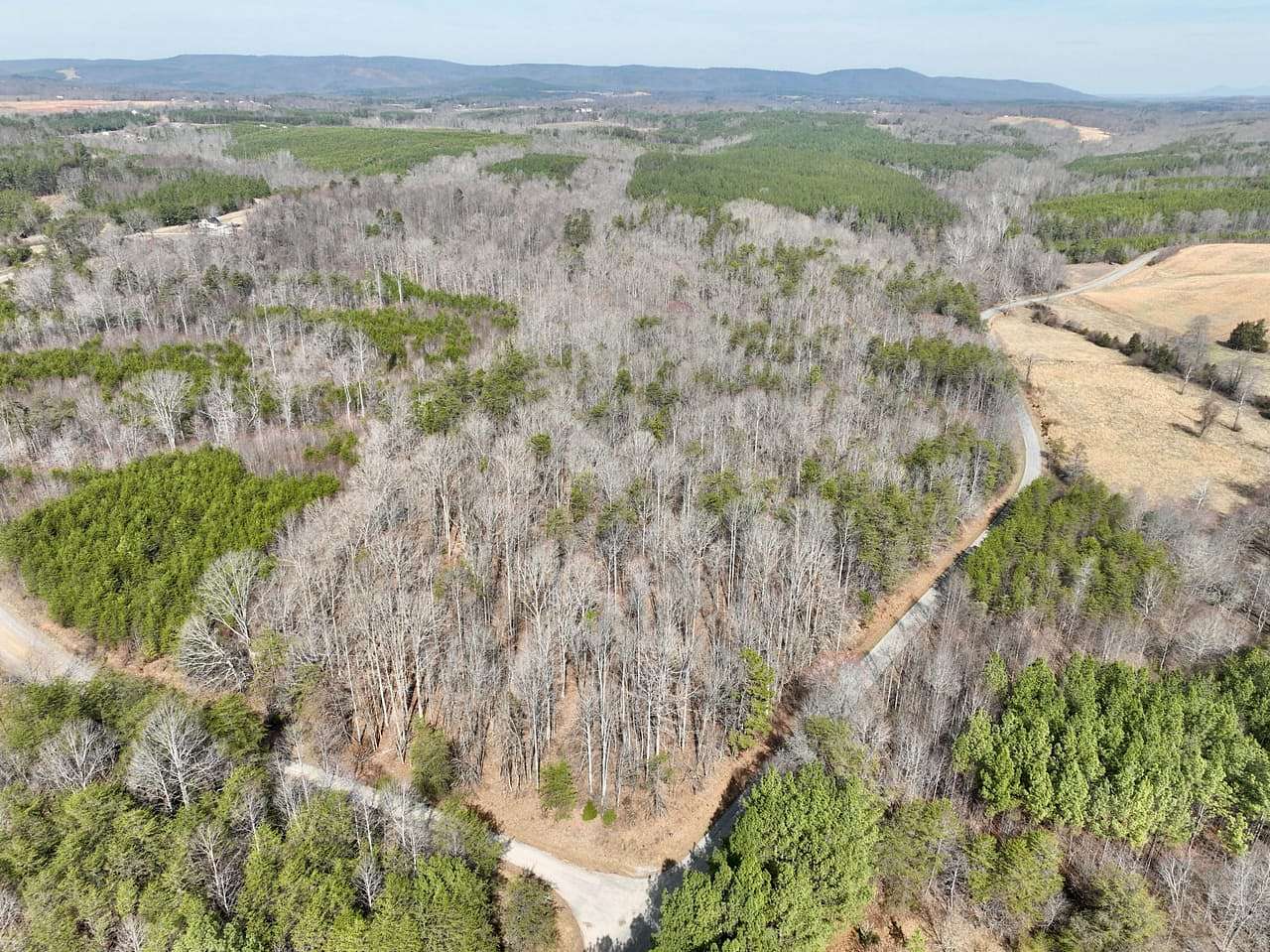31.5 Acres of Land for Sale in Axton, Virginia
