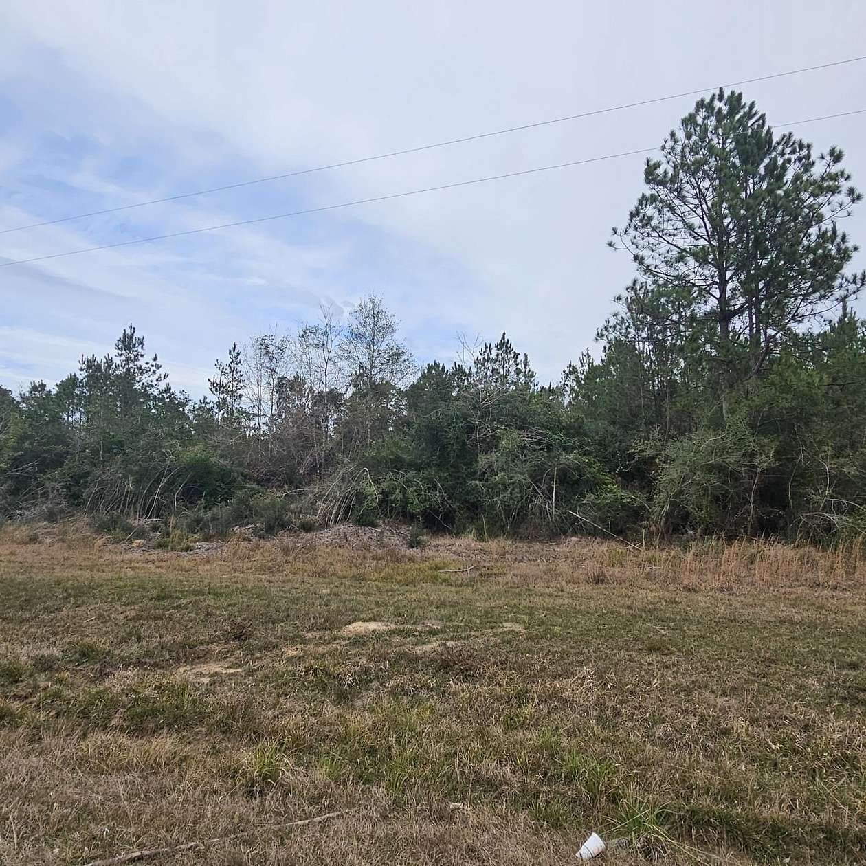 6 Acres of Residential Land for Sale in Kountze, Texas