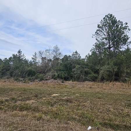 6 Acres of Residential Land for Sale in Kountze, Texas
