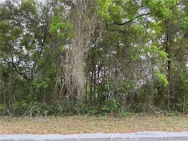 0.51 Acres of Residential Land for Sale in Citrus Springs, Florida